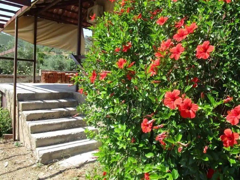 منزل الضيف Perachora  في Countryside House المظهر الخارجي الصورة