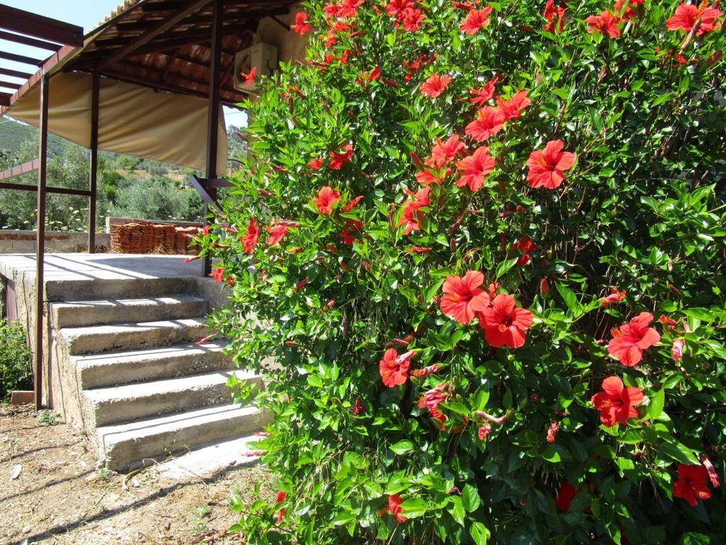منزل الضيف Perachora  في Countryside House المظهر الخارجي الصورة